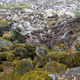 Illustration for article titled San Joaquin River Gorge